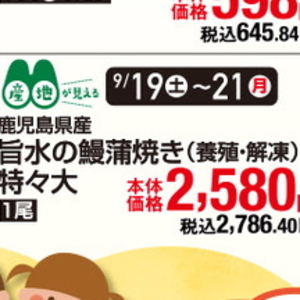 うなぎの蒲焼き