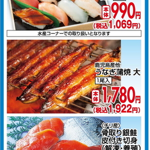 うなぎの蒲焼き
