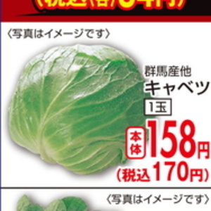 きゃべつ