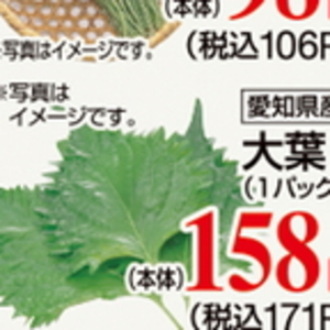 おおば