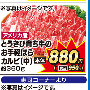 牛カルビ