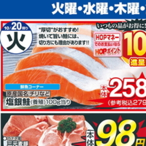 さけ（切り身）