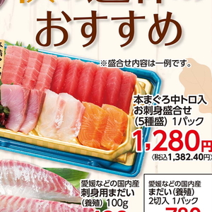 まぐろ中とろ