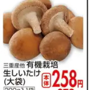 しいたけ