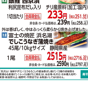 うなぎの蒲焼き