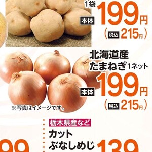 たまねぎ