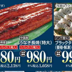 うなぎの蒲焼き