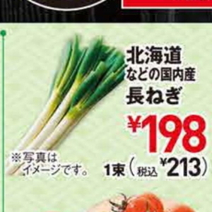 ながねぎ