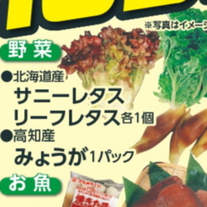みょうが