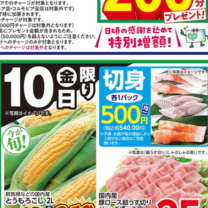 その他魚介切り身