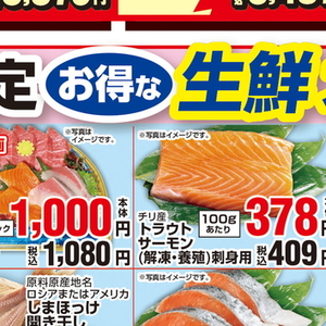 その他魚介刺身