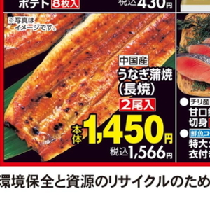 うなぎの蒲焼き