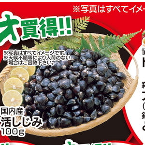 しじみ