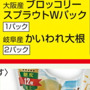 カイワレ大根