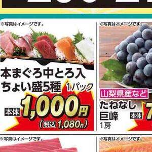 まぐろ中とろ
