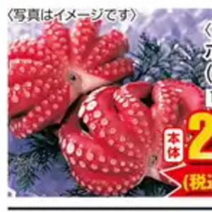 たこ（ボイル）