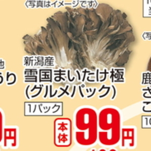 まいたけ