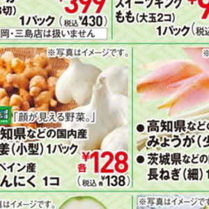 うなぎの蒲焼き