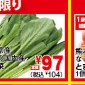こまつ菜