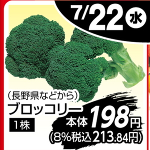 ブロッコリー