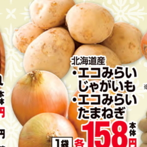 たまねぎ