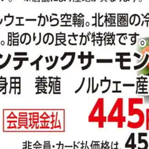 サーモン（さく取り）