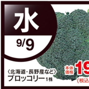 ブロッコリー