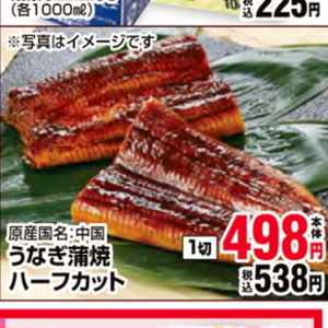 うなぎの蒲焼き