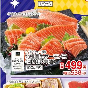 サーモン（さく取り）