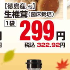 しいたけ