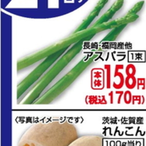 ながねぎ