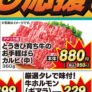 牛肉ハラミ