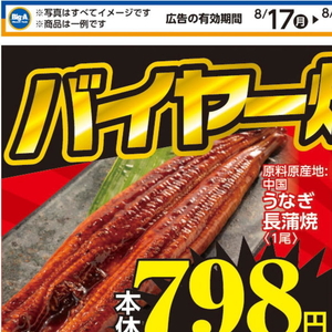 うなぎの蒲焼き