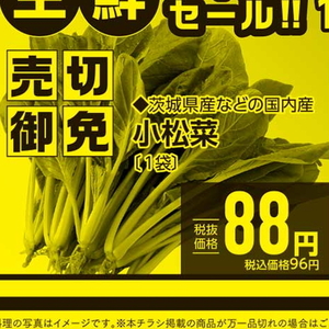 こまつ菜