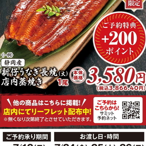 うなぎの蒲焼き