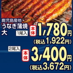 うなぎの蒲焼き