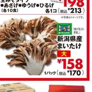 まいたけ