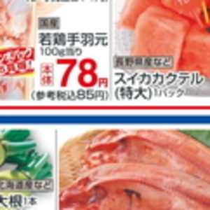 鶏手羽元