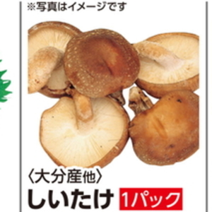 しいたけ