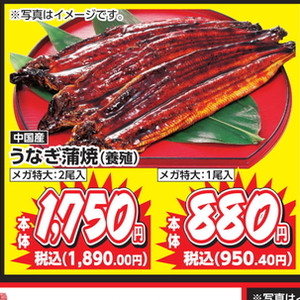 うなぎの蒲焼き