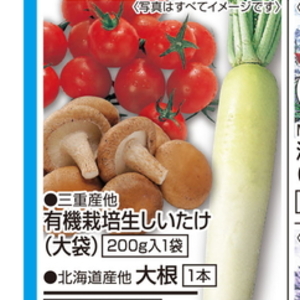 だいこん