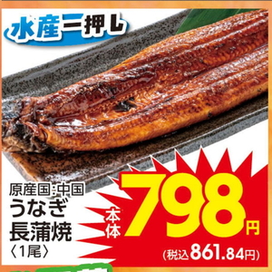 うなぎの蒲焼き