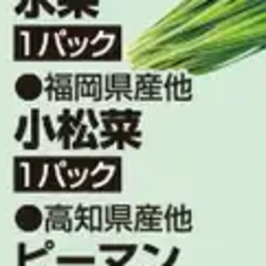 こまつ菜