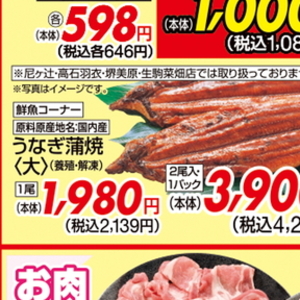 うなぎの蒲焼き