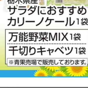 きゃべつ