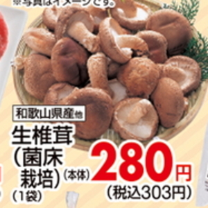 しいたけ
