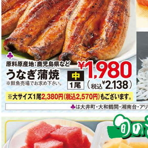 うなぎの蒲焼き