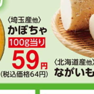 かぼちゃ