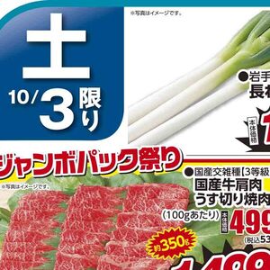 ながねぎ