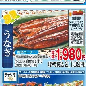 うなぎの蒲焼き